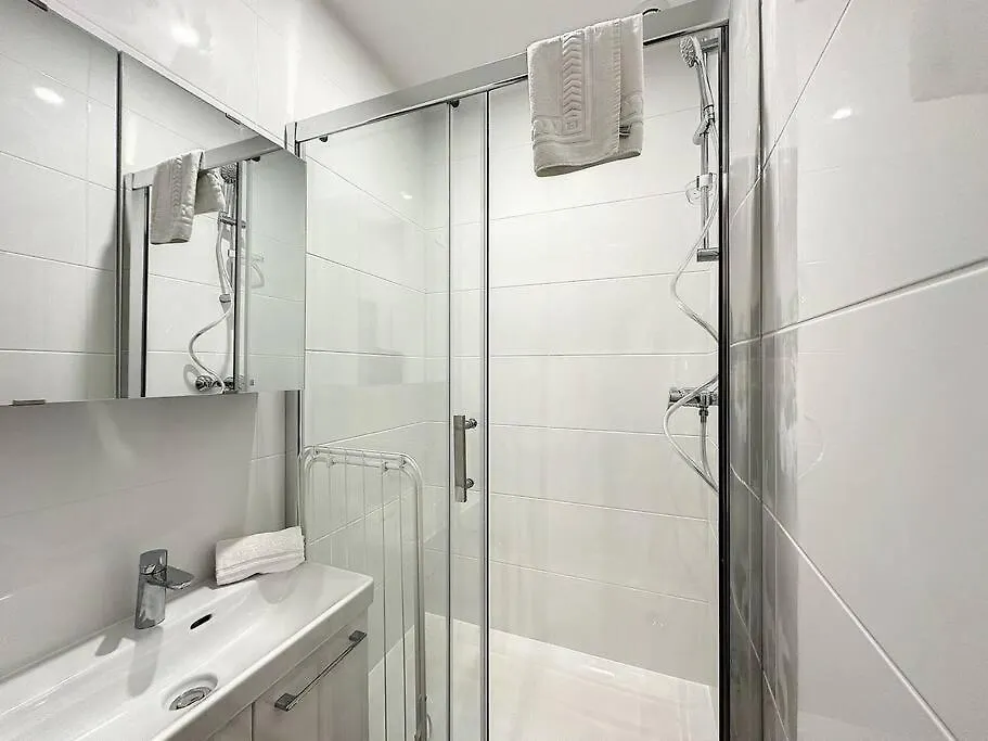 Cosy Appt, Centre De Lyon Bellievre 1 Apartment France